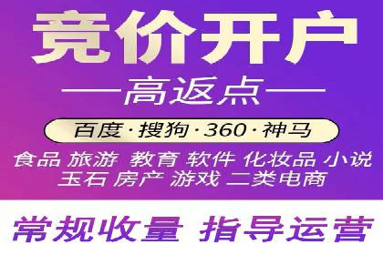 案例分析：SEM广告助力电商行业突破