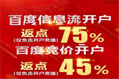 百度运营推广策略解析，看这些成功案例